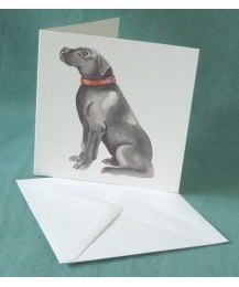 Labrador Card  Labrador Card